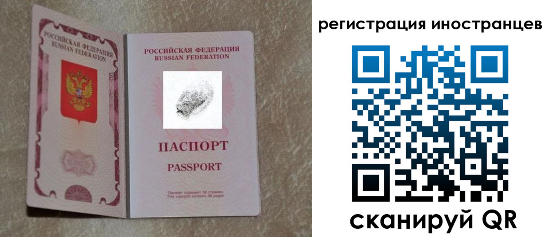 прописка законно в Далматово